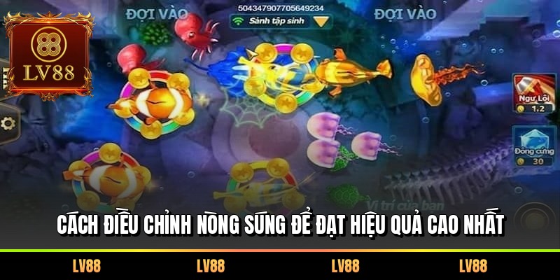 Cách điều chỉnh nòng súng để đạt hiệu quả cao nhất